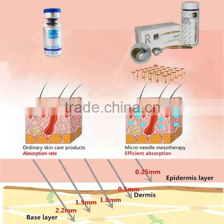 1080 needles body derma roller