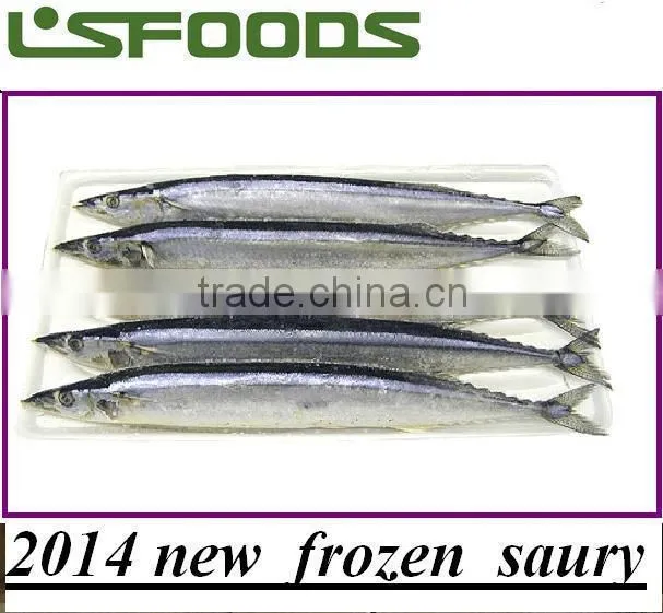 2014 new coming Frozen pacific saury from China