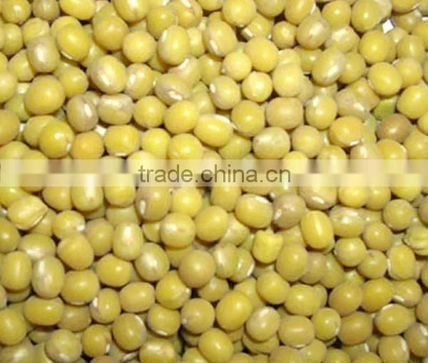 supply dry green mung bean 3.2-3.6mm