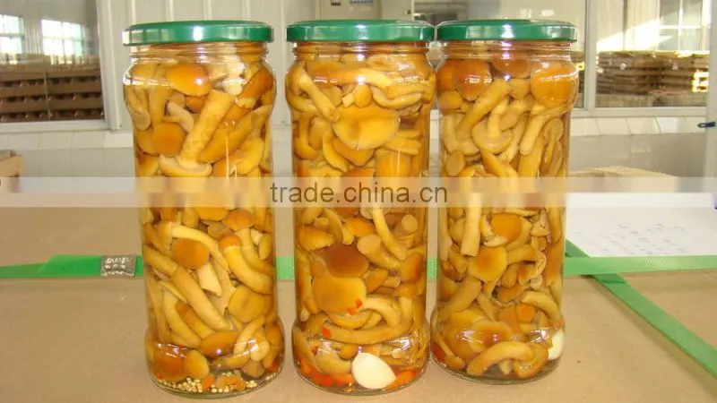 2014 new crop canned marinated nameko mushrooms