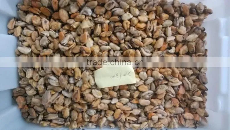 Frozen mussel boiled meat seafood price from seafood company