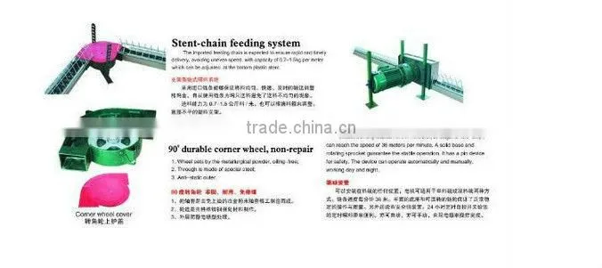 Best Poultry Breeder Chain Feeding System