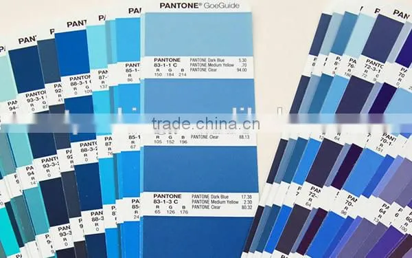 Pantone GoeGuide RGB Value GSGS001