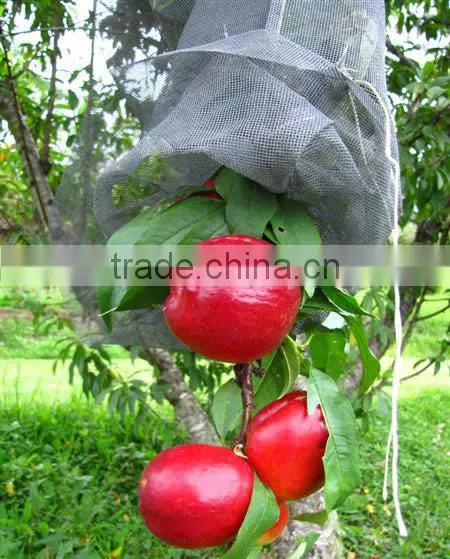 Heavy Duty Anti Predator Net/Knitted Anti Bird Netting/Fruit Cage Netting