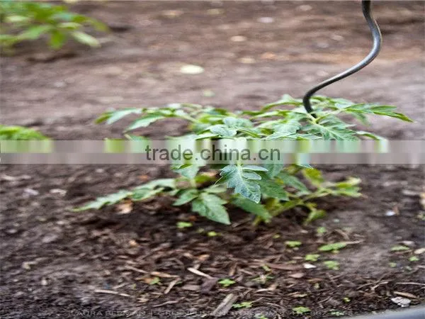 galvanized tomato spiral wire/tomato support wire