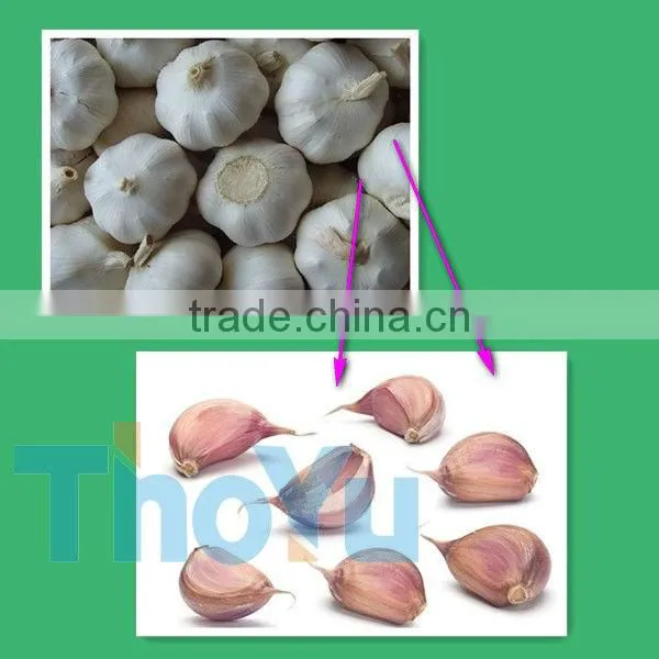 Hot selling garlic separator/garlic cloves breaking machine