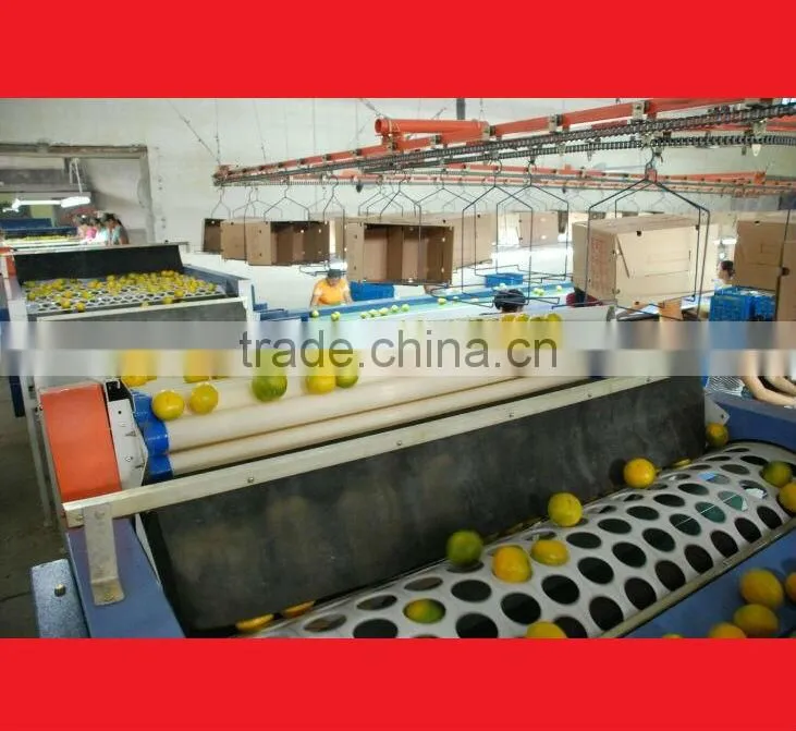 Mechanical citrus production line