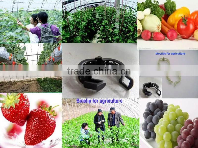 100% Compostable and Biodegradable PLA tomato plastic graft clips