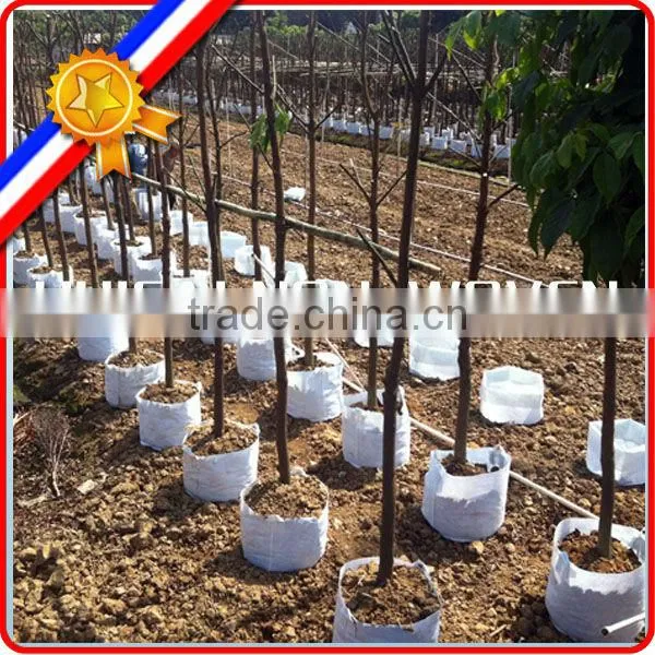 garden, backyard tree plating grow bag