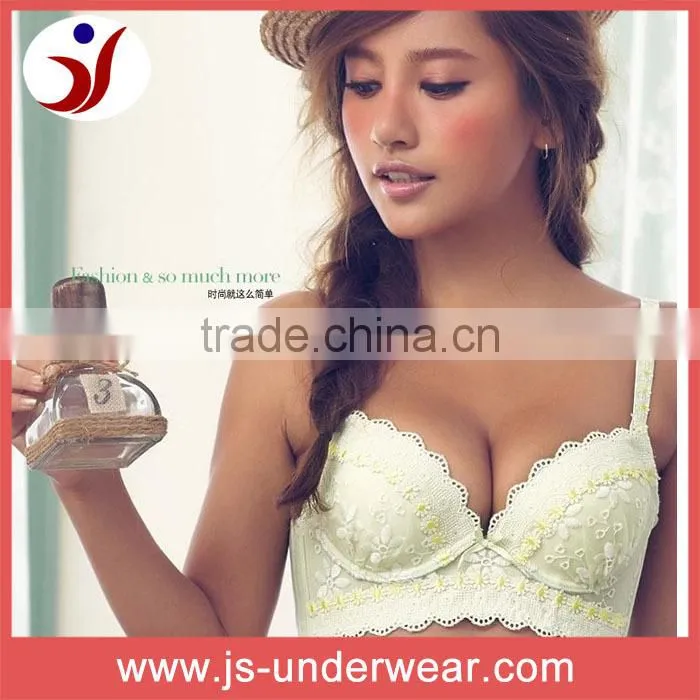 sexy young girls bra push-up bra, ladies classic underwear nylon lace bra, wholesales embroidery gather breast shaping sexy bra