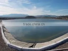 Geomembrane Linings and Liners