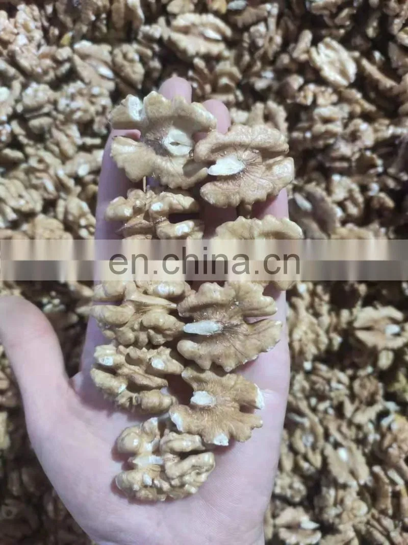 Chocolates roasted walnut in shell and kernel for Peru India Vietnam USA France Philippines Nepal Morocco Bangladesh Canada