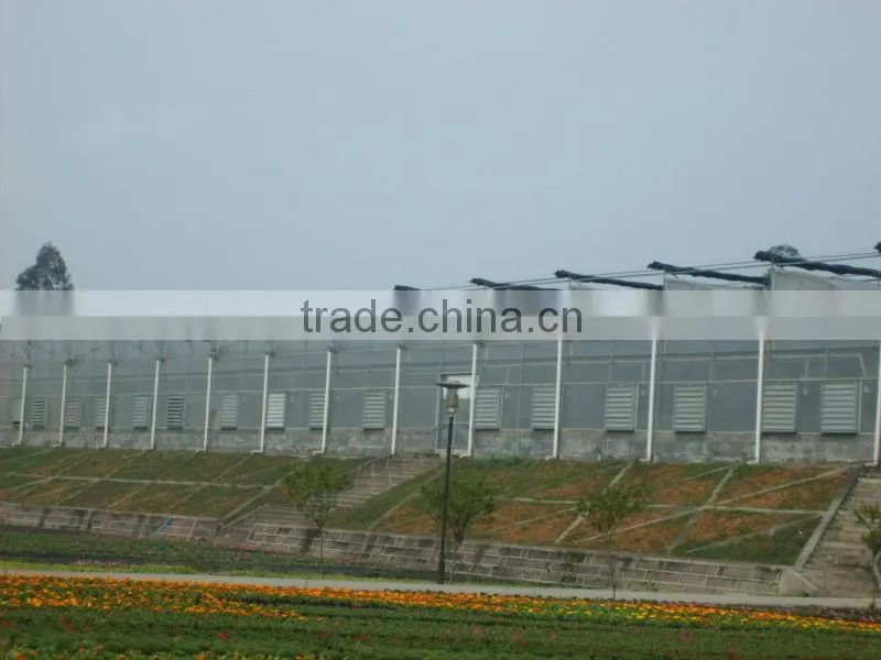 tomato greenhouse for sale