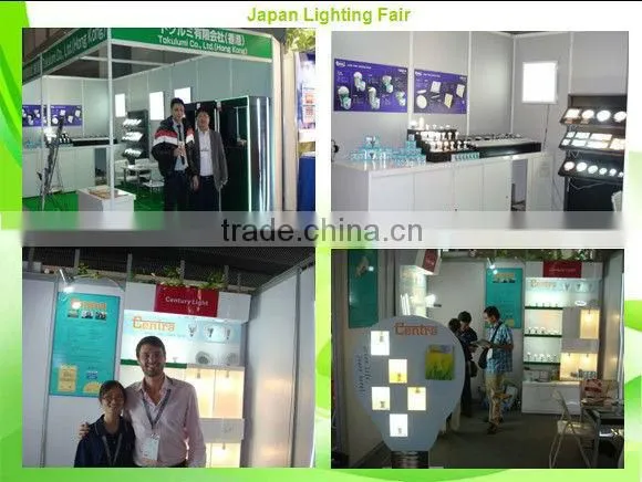 CE&RoHs 95lm/w 10w e27 e26 led bulb lamp globe bulb light 220v