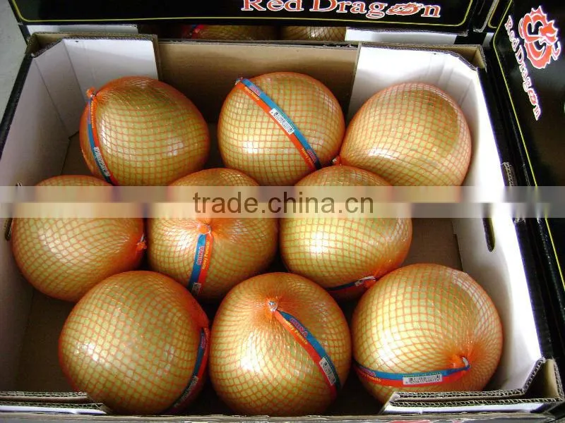 High quality chinese Fresh honey pomelo