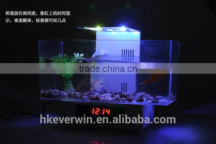 Fashionable usb mini desktop aquarium with LCD light and time shows