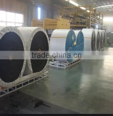 Steel cord conveyor belt