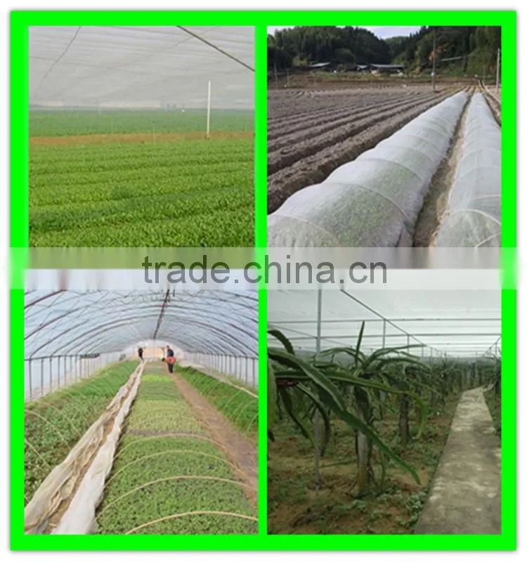 Suntex HDPE nursery roof anti insects sail shade netting