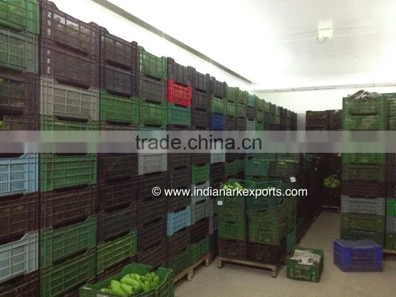Fresh Cavendish Banana