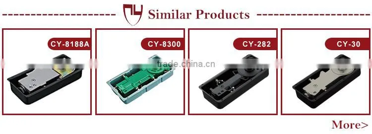 Wholesale China Factory Premium Glass Door Floor Hinge