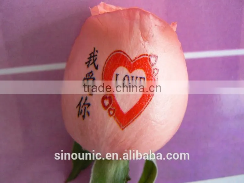 CE Approved New Version Fresh Flower Printer