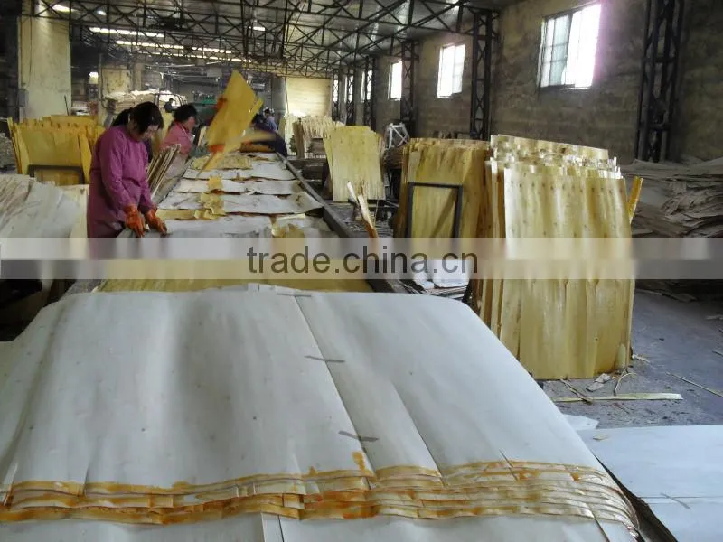 Polyester plywood/PVC coated plywood