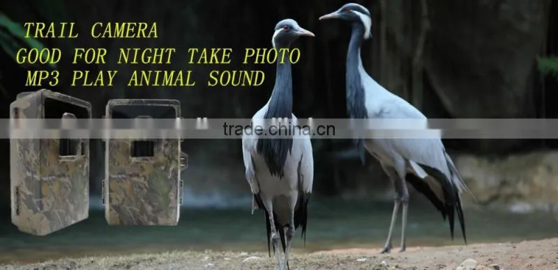 5MP Color CMOS HD Infrared Digital Trail Camera China Trail Camera Wireless Hunting Camera