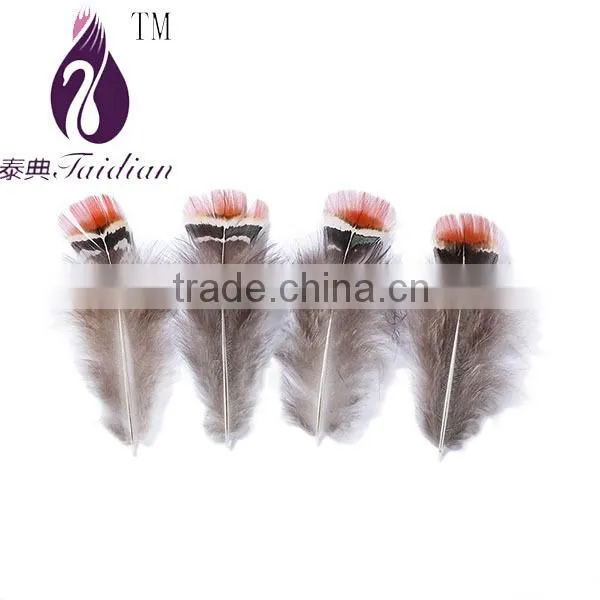 decorative red feathers for clothing/wedding dress,pheasant plumage feathers