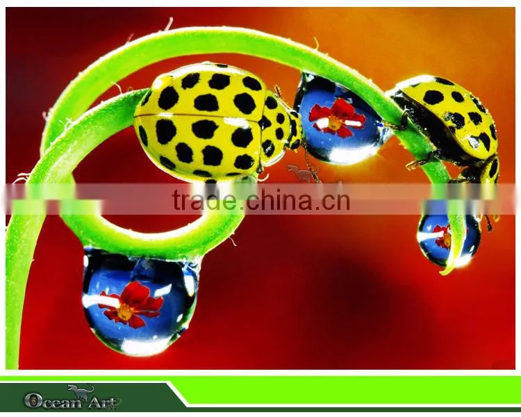 2014 new products palyground insects