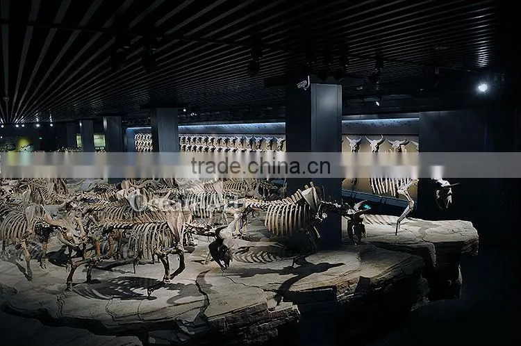 Theme park Bison fossil