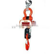 Crane Scale Electronic