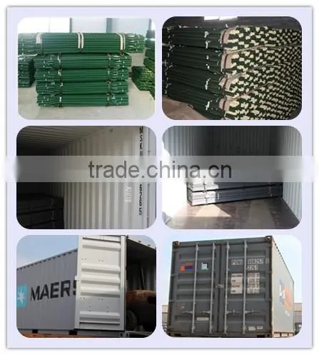 Metal Type and Fencing Type T Post for sale
