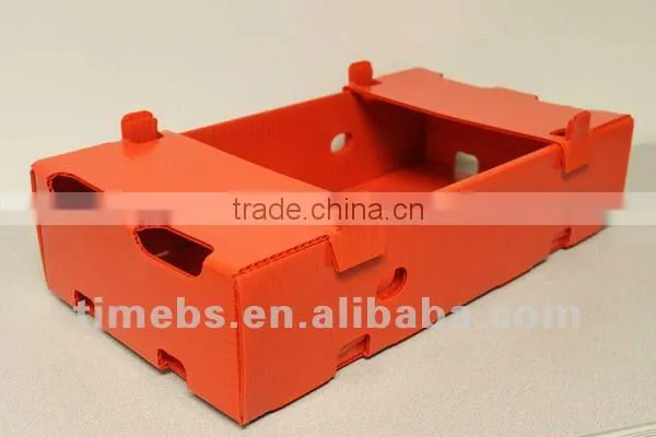Eco-friendly corflute plastic boxes for fruit and vegetable