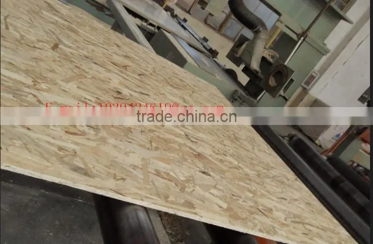 good quality 8mmto 30mm E0 osb board for structure