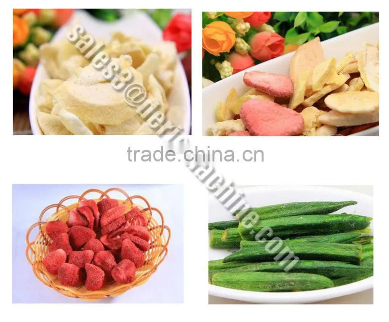 Top Grade Freeze Dryer Manufacturer