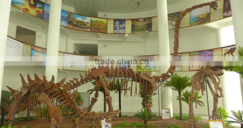 Animatronic Dinosaur fossil Exhibition