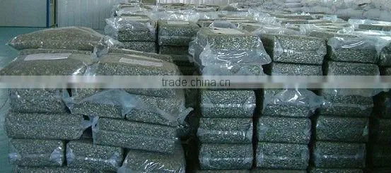 Competitive price~ 2015 new crop Shine Skin Pumpkin seeds,kernels