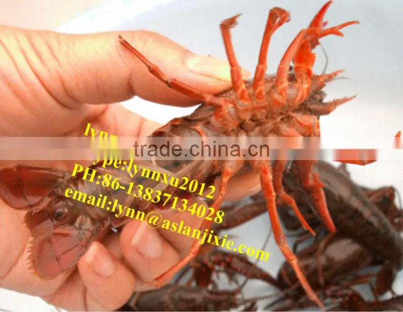 stainless steel lobster grade sorting machine