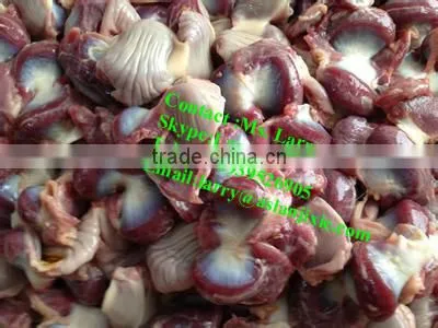 gizzards peeler/gizzards skin peeling machine