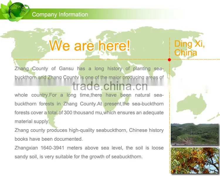 Elimination of electrostatic care hair repair damaged hair Seabuckthorn hair conditioner