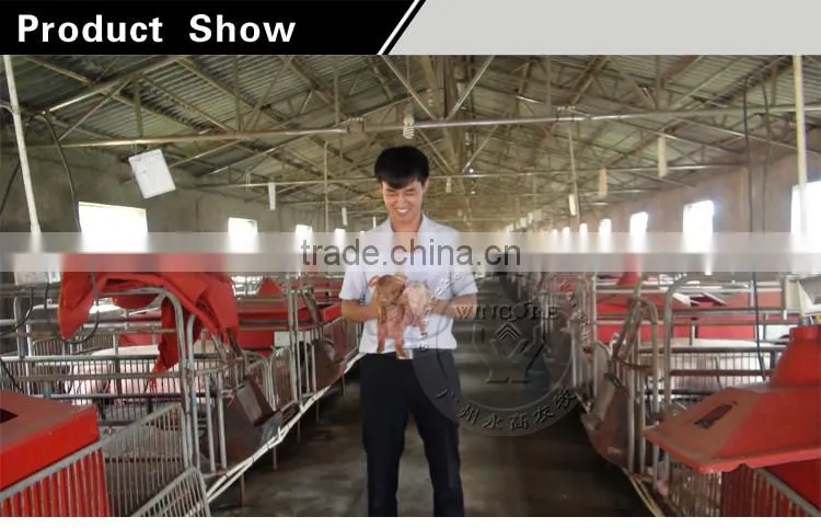 Automatic pig feeding system for fattening pig
