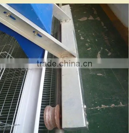 Automatic chicken feeding machine