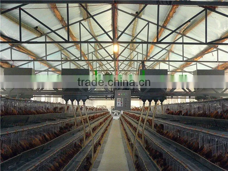 battery cage