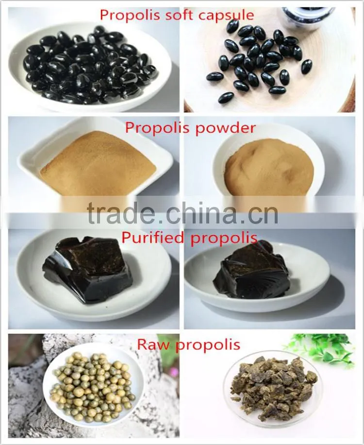 HACCP factory supply most secure propolis soft capsule with 30% propolis