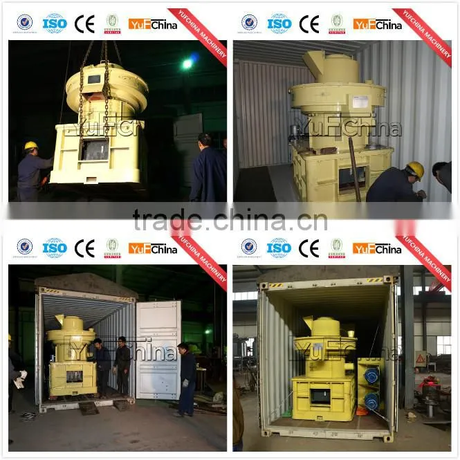 Famous brand biomass pellet mill for southeast Asia market
