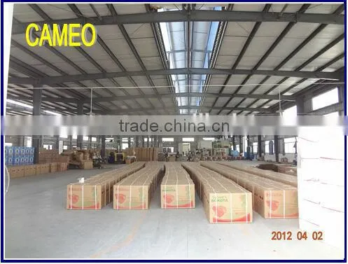 CP6700T3 5KW Generator Diesel Engine Generator Diesel 5KW Generator