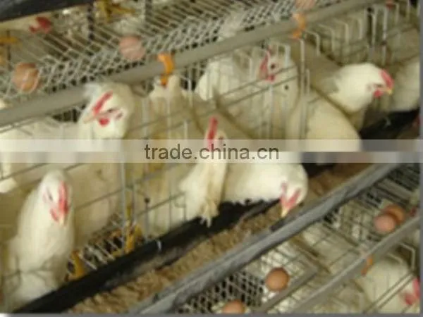 hot-sale good quality poultry farm layer chicken cage