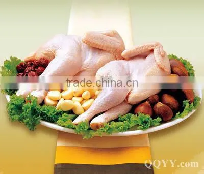 hot sale SYTM-500 Stainless steel poultry feather Plucker