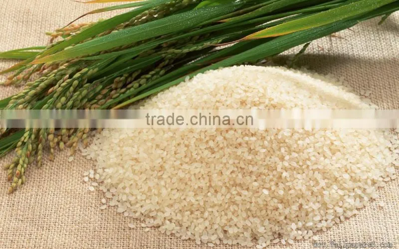 Rice Color Sorter,Millet Color Sorter with CCD camera
