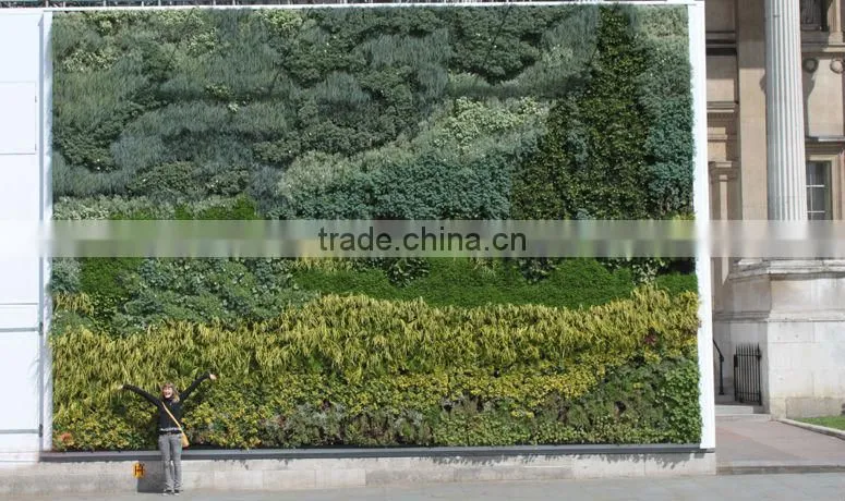 GNW GLW058 best plants for vertical garden wall ornament flower wall decor